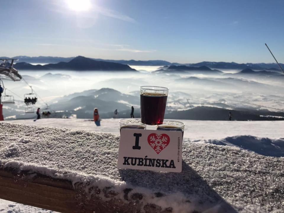 Ubytovanie Pod Skalkou Dolny Kubin Buitenkant foto